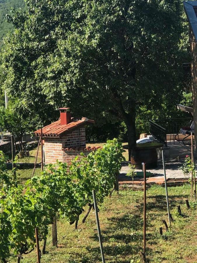 T-A Apartment Rijeka Crnojevića Exteriör bild