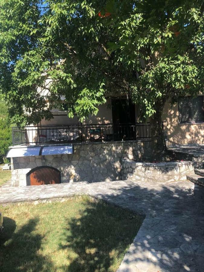 T-A Apartment Rijeka Crnojevića Exteriör bild